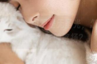泥泥汝×猫女：明明是无圣光，怎样却让我想起奶茶的悠扬？