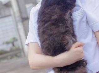 疯猫ss明日方舟合集，可能是你未曾见过的猫猫姿态，来呀，快来看！